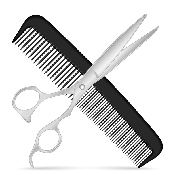 comb scissors icon - Vector, Image