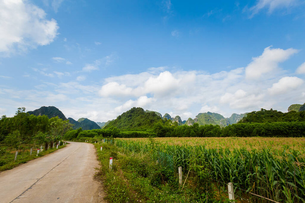 Bela paisagem verde vívida no Parque Nacional Phong Nha Ke Bang no Vietnã. Paisagem rural foto tirada no sudeste da Ásia. - Foto, Imagem