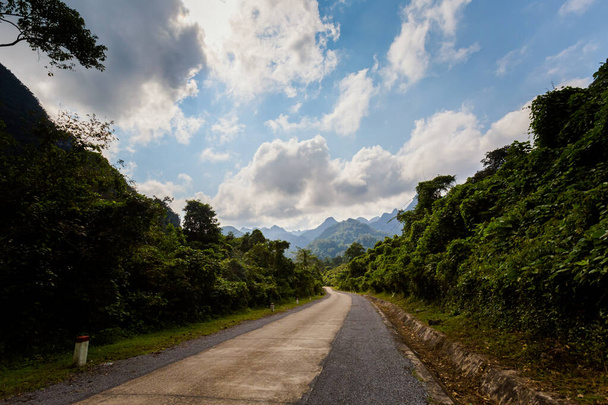 Hermoso paisaje verde vivo en el Parque Nacional Phong Nha Ke Bang en Vietnam. Paisaje rural foto tomada en el sudeste asiático. - Foto, Imagen