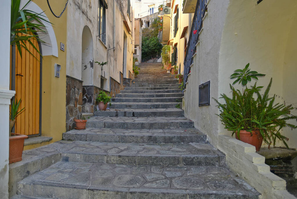 A narrow street in Massa Lubrense, an village in the province of Benevento, Italy. - Photo, Image