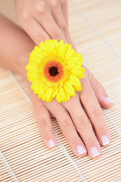 Schöne Frauenhände mit gelber Gerbera - Schönheitsbehandlung - Foto, Bild