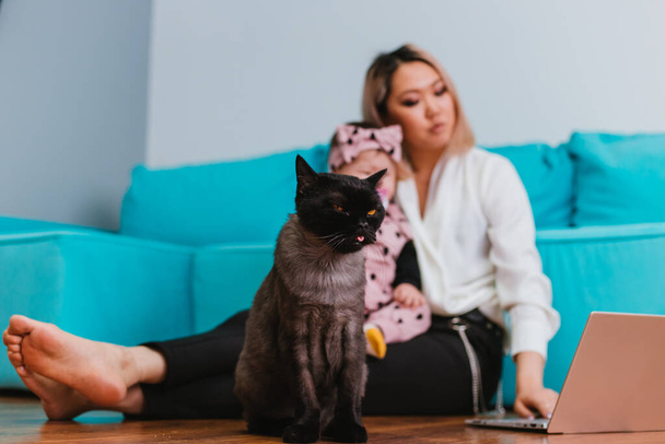 A dark British cat with big yellow eyes sits on the floor. Blurred background, A woman of Asian appearance holds a baby in her arms. - Photo, Image