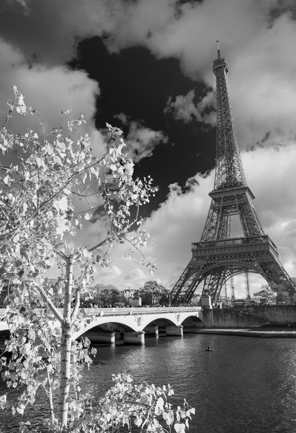 Эйфелева башня и река Сена
 - Фото, изображение