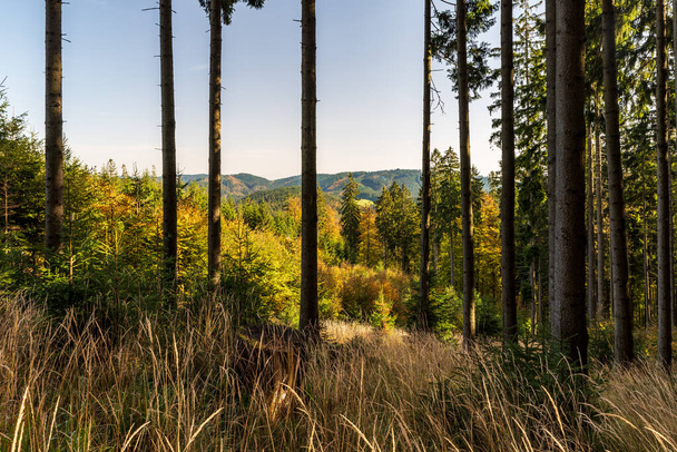 jesienna sceneria górska z kolorowym lasem, wzgórzami i czystym niebem - Moravskoslezske Beskidy nad wioską Bila w Czechach - Zdjęcie, obraz