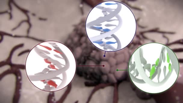 División y crecimiento de células cancerosas - Metraje, vídeo