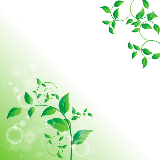 Branch with green leaves - Vector, Image