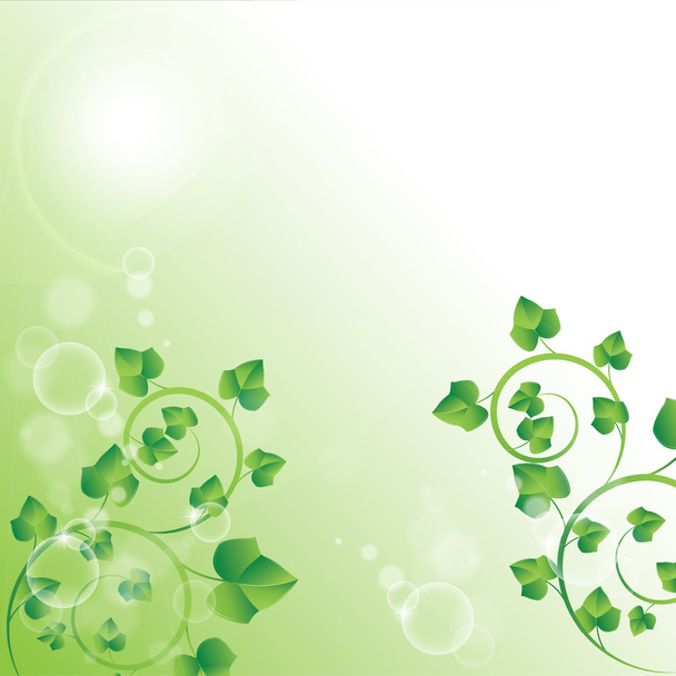 ветка с зелеными листьями - Вектор,изображение
