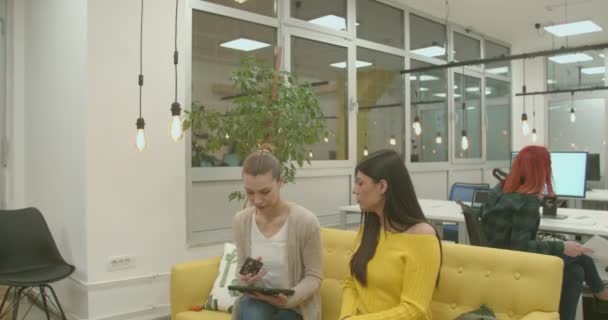 Fiatal kollégák beszélgetnek egy projektről az irodában - Felvétel, videó