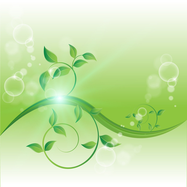 κλαδί με φρέσκα πράσινα φύλλα - Διάνυσμα, εικόνα