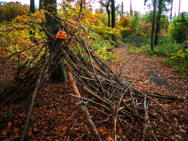 una capanna fatta di cespugli vicino a un albero nella foresta, - Foto, immagini