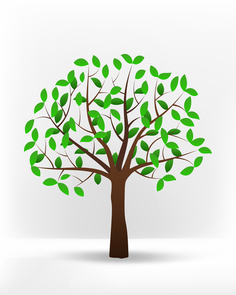 Foglia verde albero estivo
 - Vettoriali, immagini