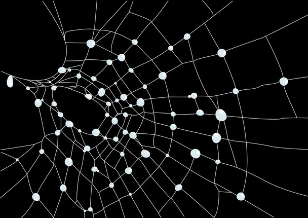 Spider web with water drops, vector illustration - ベクター画像