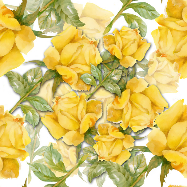 Yellow Roses  pattern - Фото, зображення