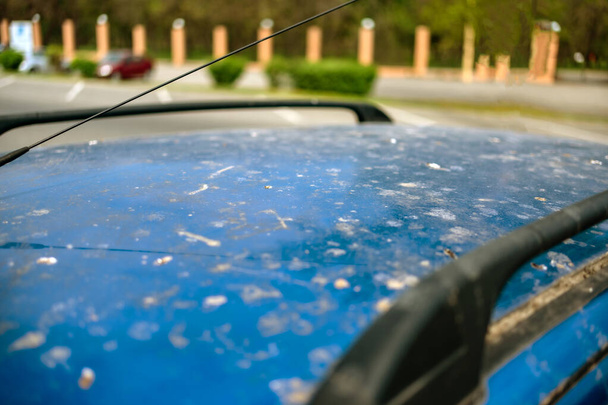 car in bird droppings. Birds polluted the car. Blue car in bird droppings. The bird shit on the car - Fotografie, Obrázek