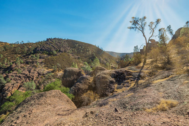 Rotsformaties in Pinnacles National Park, Californië, de verwoeste resten van een uitgestorven vulkaan op de San Andreas Fault. Prachtige landschappen, gezellige wandelwegen voor toeristen en reizigers. - Foto, afbeelding