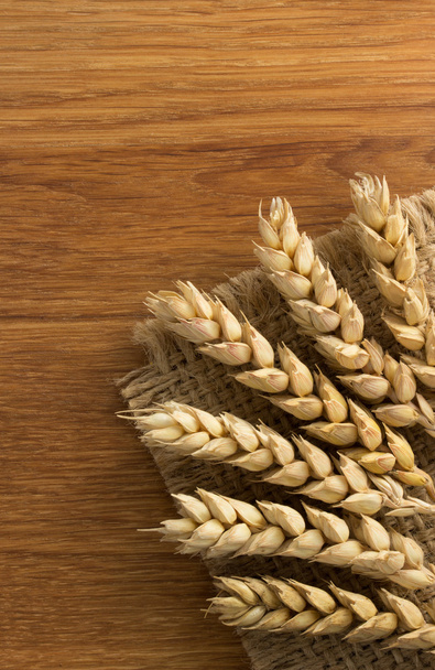 ears of wheat on wood - 写真・画像