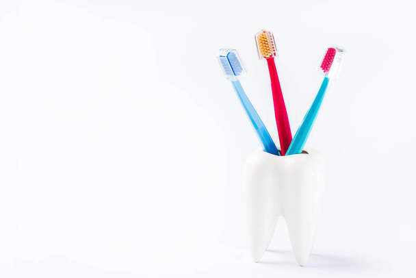 歯のケア。白い背景に歯科用アクセサリー。ブラシと歯磨き粉付き歯モデル. - 写真・画像