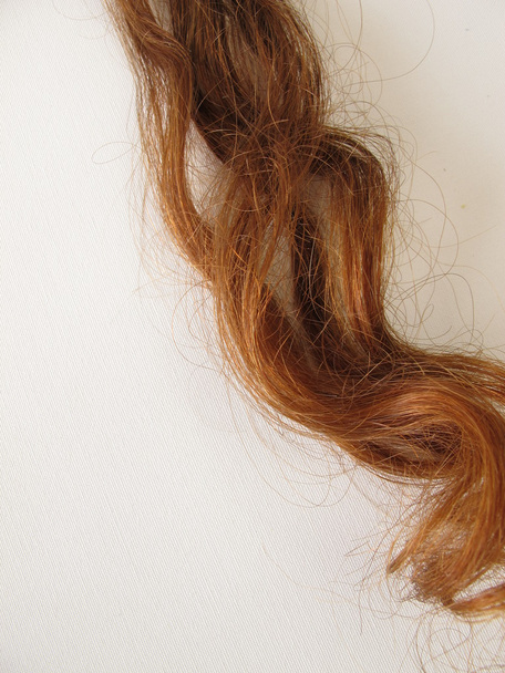 Chestnut-brown hair strand - Photo, Image