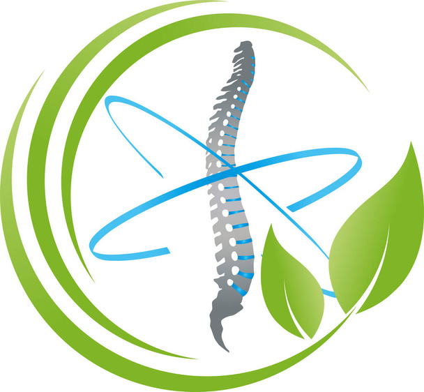 Spine, back, orthopedics, massage, logo, background  - Vector, Image