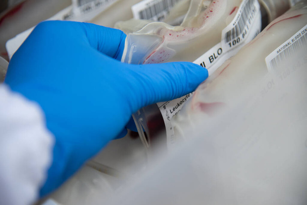 Σακούλα αίματος στο εργαστήριο τράπεζα αίματος. - Φωτογραφία, εικόνα