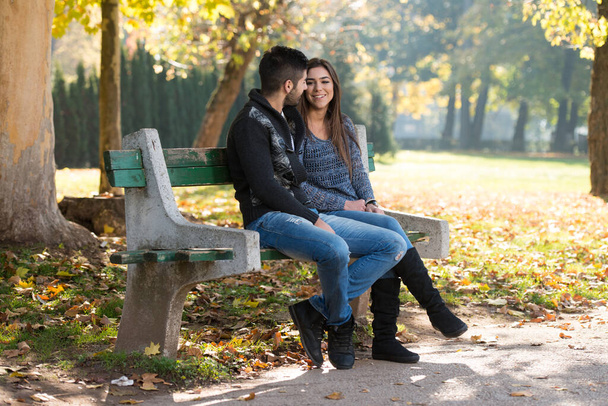 Young Couple Sitting On A Bench In The Beautiful Autumn Day - Foto, immagini