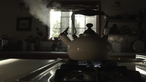 Moody colpo cucina interna con bollitore del tè fischiando forte come si riscalda poi persona spegne stufa. - Filmati, video