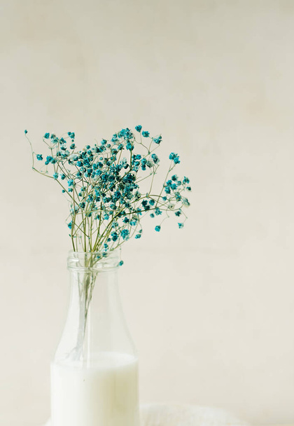 foco selectivo gypsophila azul en botella transparente de vidrio con agua blanca o leche. decoración casera natural simple. Monocromo beige - Foto, imagen