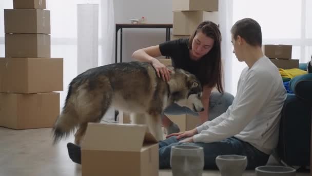 молодая пара и большая собака переехали в новую квартиру. Люди сидят на полу рядом с картонными коробками в просторной арендованной квартире. Девушка кормит собаку из рук. - Кадры, видео