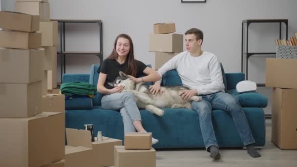Giovane uomo e donna sono seduti sul divano in un nuovo appartamento. Tra di loro giace un cane husky. Coppia felice discutere la disposizione dei mobili dopo il trasloco. - Filmati, video