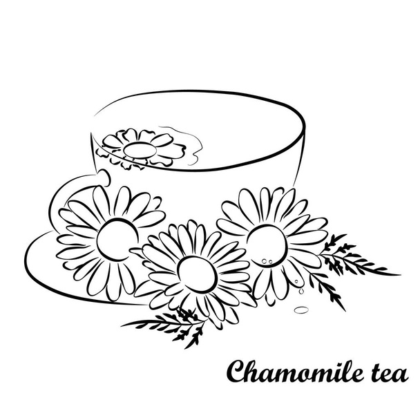 Kamillentee-Vektorumriss. Medizinische Kamille und eine Tasse Tee - Vektor, Bild