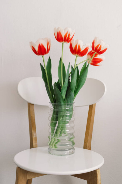 Помаранчеві тюльпани на білому стільці у вітальні. Весна та свята
. - Фото, зображення