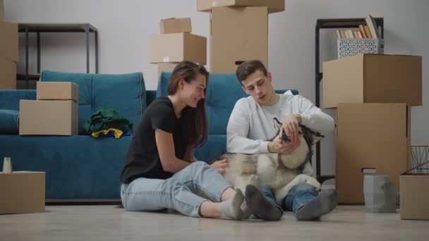 Laiha mies ja hoikka tyttöystävä silittävät koiraansa uudessa asunnossa. Pahvilaatikot asiat ovat lattialla muuton jälkeen. - Materiaali, video