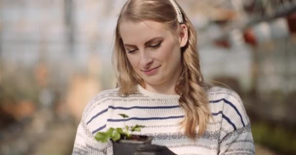 vrouwelijke tuinman die planten onderzoekt in de kas - Video