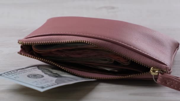 carteira rosa com uma nota de cem dólares e um monte de dinheiro. Conceito de finanças, despesas e rendimentos  - Filmagem, Vídeo