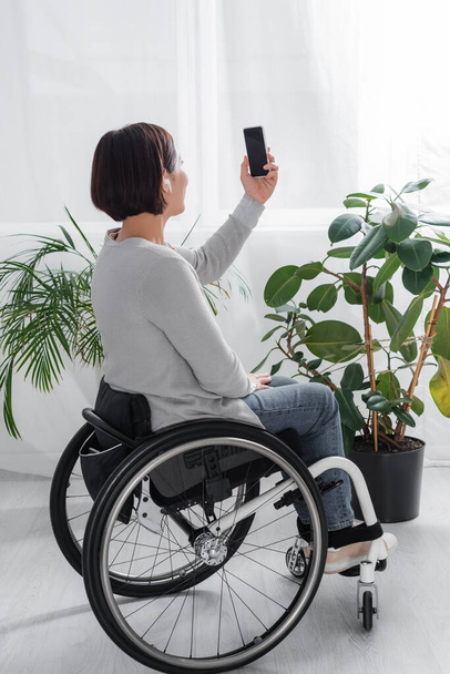 Vammainen nainen pyörätuolissa älypuhelimella tyhjällä näytöllä ja kuulokkeella lähellä kasveja kotona  - Valokuva, kuva