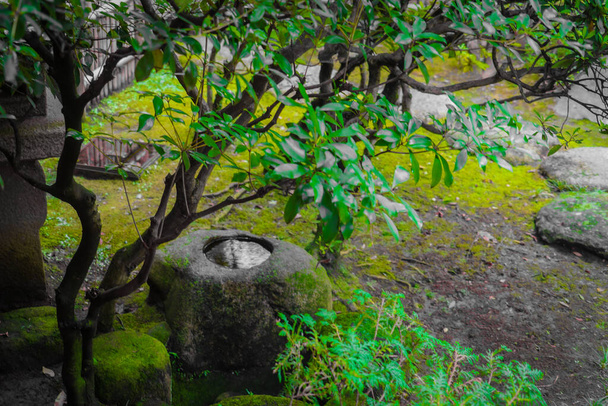 日本家屋の端から見える風景 - 写真・画像