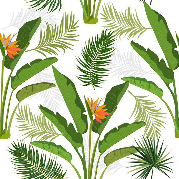 Vektori trooppinen saumaton kuvio lehdet strelitzia, palmu ja kukkia. Kasvitiede valo tausta, viidakko tapetti. - Vektori, kuva