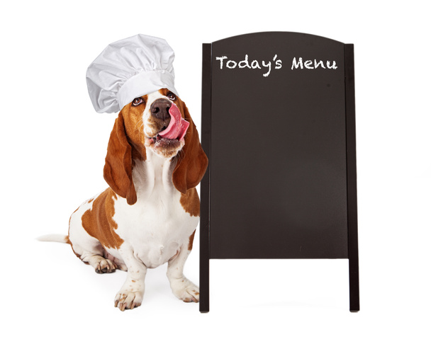 pies kucharz z menu tablica - Zdjęcie, obraz