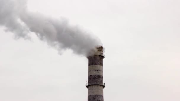 工業地帯にある大きなパイプ。ボイラー室の仕事だ。濃い白い煙が空を横切って注ぐ。環境汚染 - 映像、動画