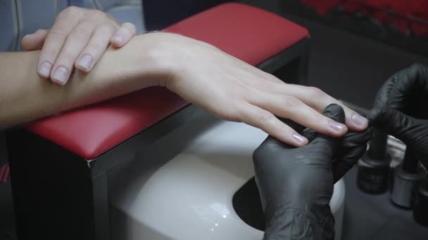 vista recortada del cliente recibiendo manicura en salón de uñas  - Metraje, vídeo