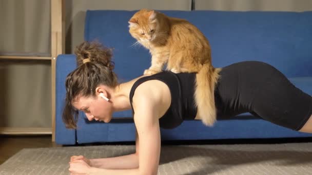 Mujer fuerte hace ejercicio de tablón mientras gato rojo se sienta en la espalda - Imágenes, Vídeo