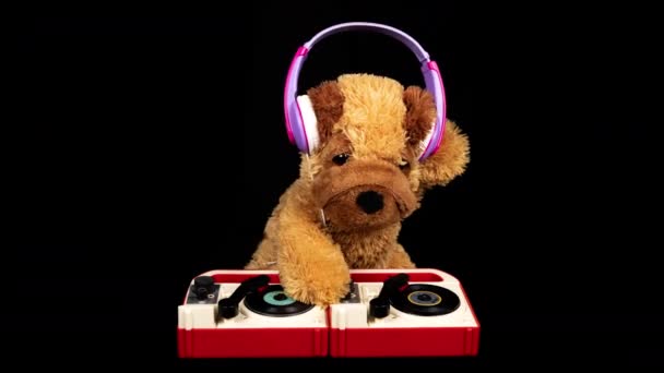 テディ犬移動djing上のターンテーブルとともにヘッドフォン - 映像、動画