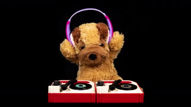 Perro de peluche moviendo djing en tunrtables con auriculares - Imágenes, Vídeo