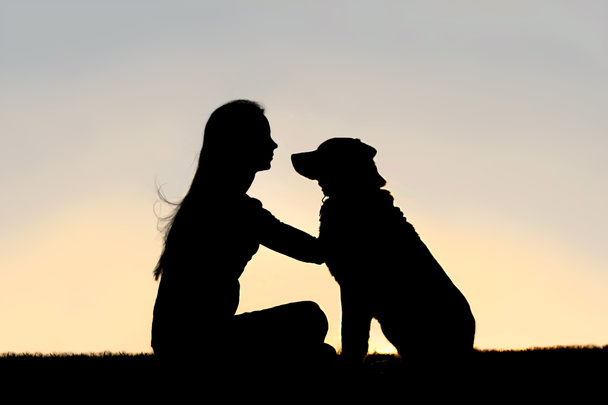Силуэт "Женщина, сидящая снаружи ласкающая собаку"
 - Фото, изображение