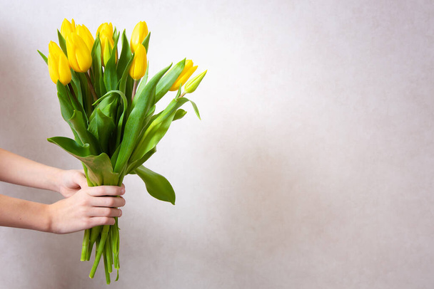 Tulipanes amarillos primavera. Mujer sosteniendo un ramo sobre fondo blanco. Asiento plano, vista superior. Fondo de flor de tulipán. Añadir su texto. - Foto, Imagen