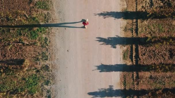 Turista explora terreno agrícola cênico - Filmagem, Vídeo