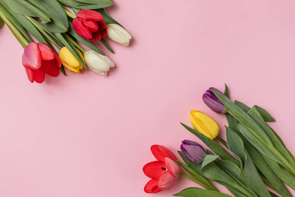 tulipanes de color primavera sobre un delicado fondo rosa. con espacio para el texto. una tarjeta de felicitación, una invitación a unas vacaciones. - Foto, imagen