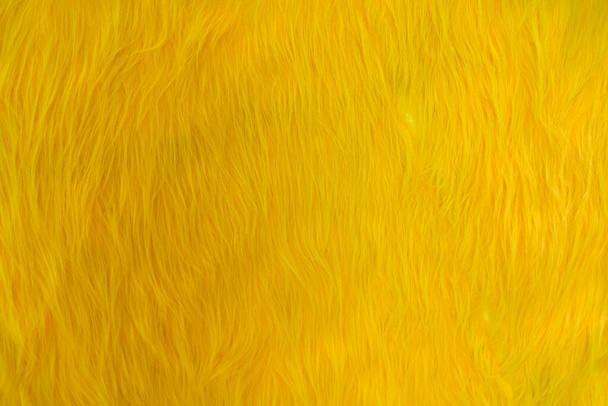 Yellow fluff on a background wall - Photo, Image