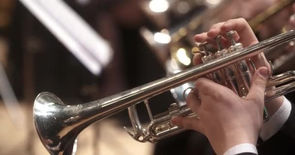 musician playing trumpet at concert - Footage, Video