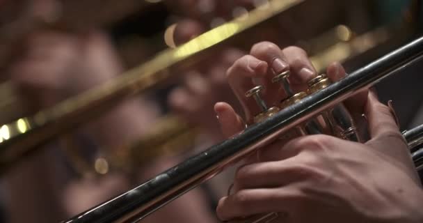 músico tocando trompeta en concierto - Imágenes, Vídeo